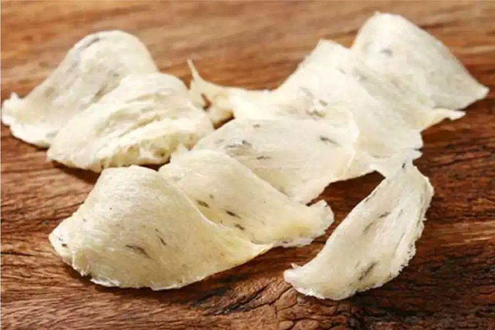 Saham Sarang Burung Walet di BEI