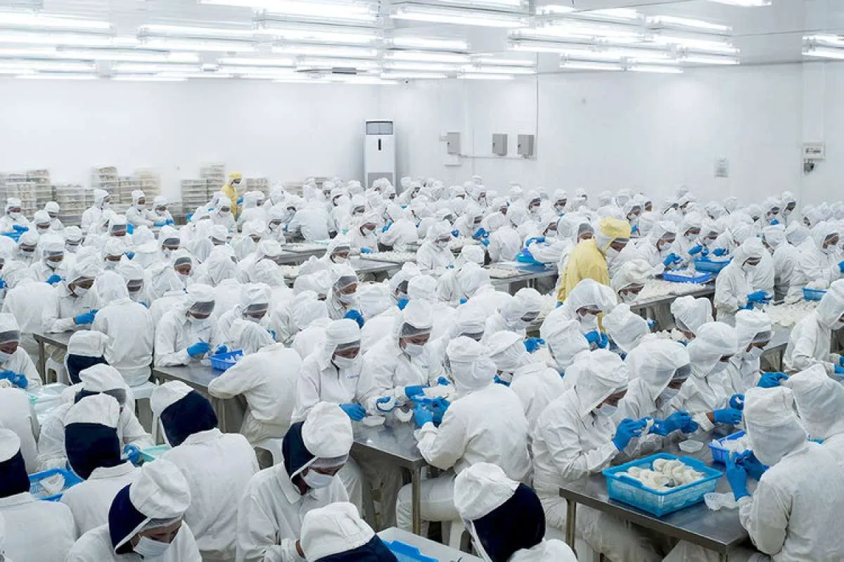 Prospek Saham NEST: Investor Asing Masuk, Peluang Menjanjikan