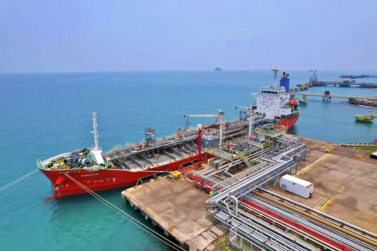 dividen interim CDIA